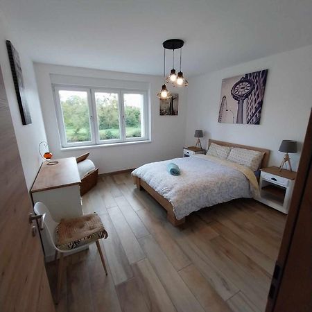 Le Bord De Sarre Meuble 3 Etoiles Appartement Sarreguemines Buitenkant foto