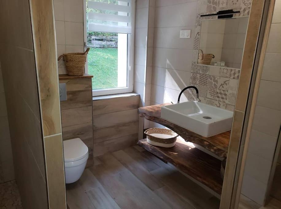 Le Bord De Sarre Meuble 3 Etoiles Appartement Sarreguemines Buitenkant foto