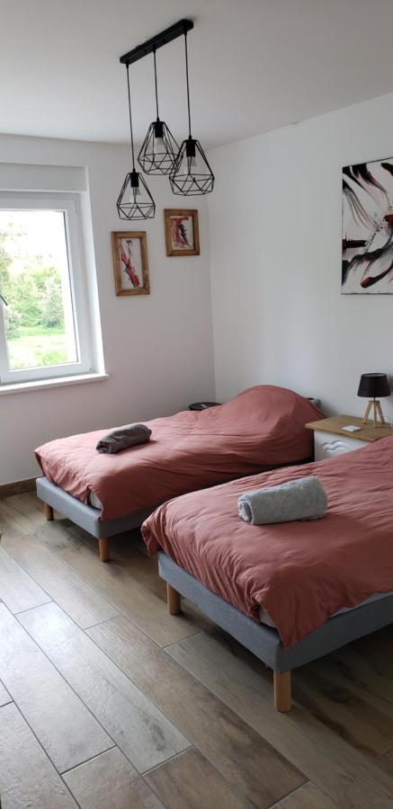 Le Bord De Sarre Meuble 3 Etoiles Appartement Sarreguemines Buitenkant foto